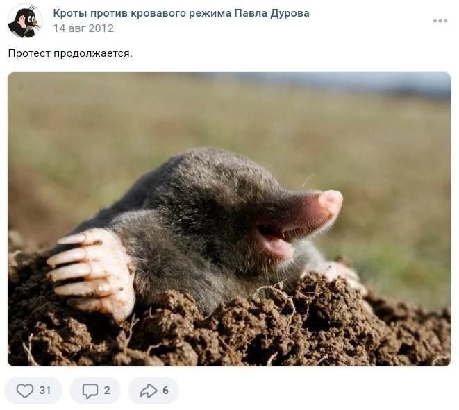 Кроты против кровавого режима Павла Дурова 14 авг 2012 Протест продолжается. 31 (2
