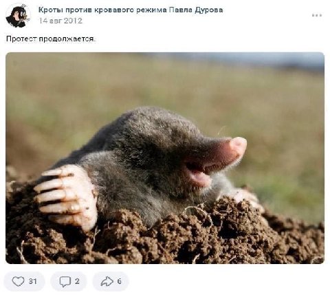 Кроты против кровавого режима Павла Дурова 14 авг 2012 Протест продолжается. 31 (2