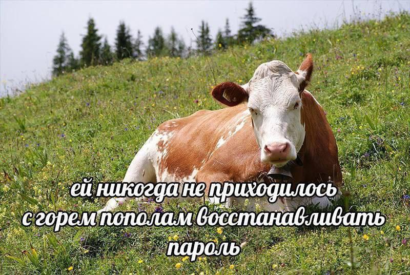 4 7 и 1 4 не. емпополам 30