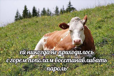 4 7 и 1 4 не. емпополам 30