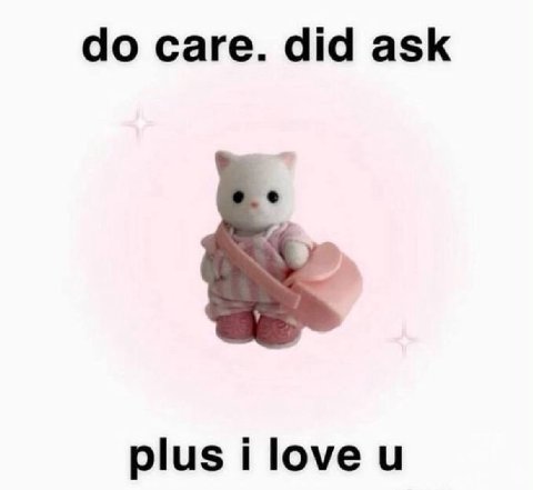 саге. did ask plus i love