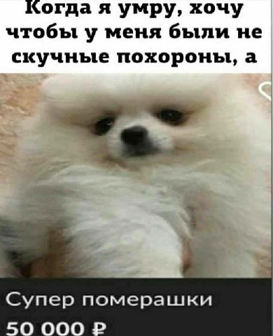 Когда я умру, хочу чтобы у меня были не скучные похороны, а Супер померашки 50 000