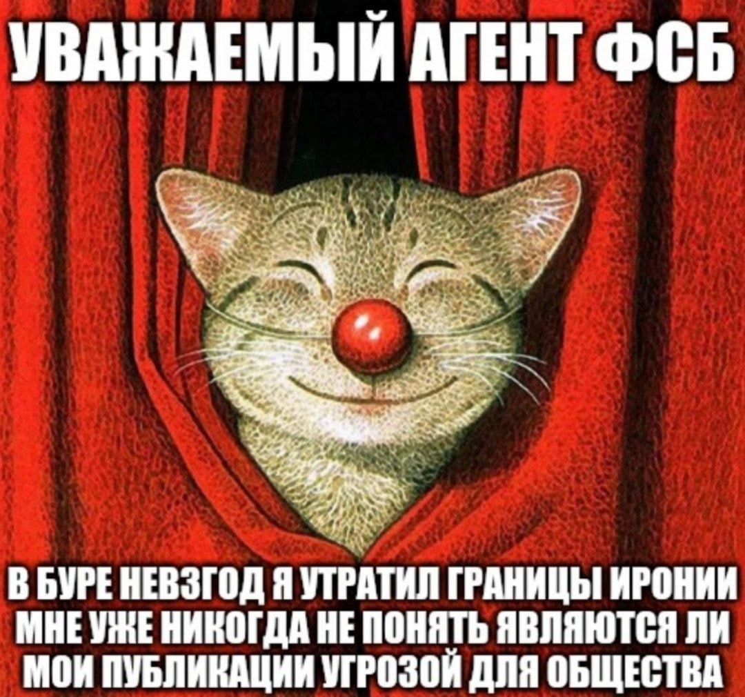 УВАЖАЕМЫЙ АГЕНТ ФСБ к НЕВЗГОД Я УТРАТИЛ ГРАНИЦЫ ИРОНИИ МНЕУНЕ НИКОГДА НЕ ПОНЯТЬ ЯВЛЯЮТСЯ ЛИ МОИ ПУБЛИКАЦИИ УГРОЗОЙ ДЛЯ ОБЩЕСТВА
