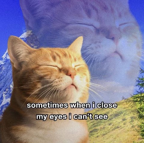 sometimes when i close my eyes i can’t see