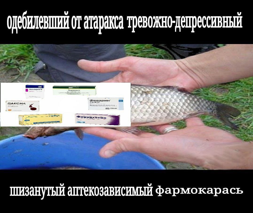 атаракса ШИЗАНУТЫЙ АПТЕКОЗАВИСИМЫЙ фармокарась
