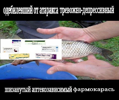 атаракса ШИЗАНУТЫЙ АПТЕКОЗАВИСИМЫЙ фармокарась