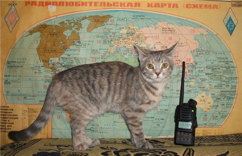 ТЕЛЬСНАЯ HAPIA Я 1 24 я