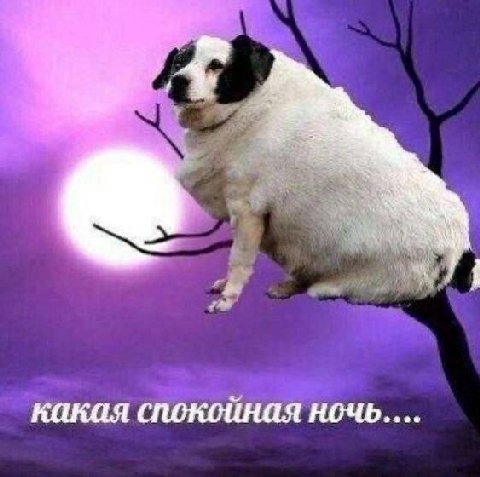 какая спокойная ночь....