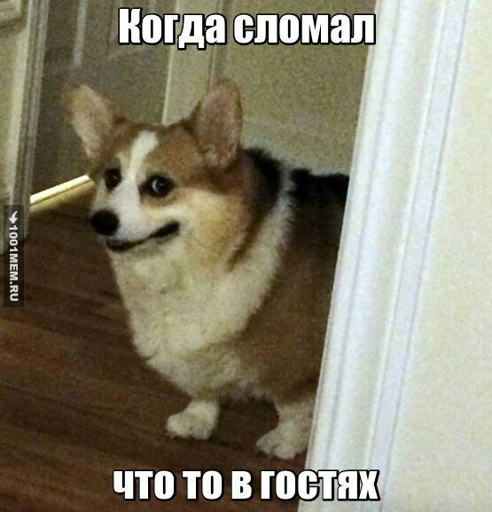 Когда сломал гостях