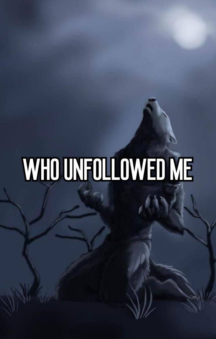 WHO UNFOLLOWED ME