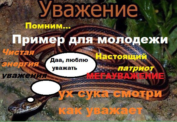 Помним... Пример для молодежи Даа, люблю Настоящий уважать патриот