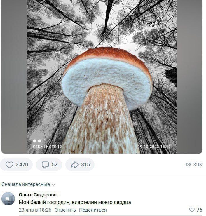 5$ у 48 К Я и a AN 2470 52 А» 315 Сначала интересные Ольга Сидорова Мой белый господин, властелин моего сердца 23 янв в 18:26 Ответить Поделиться 76