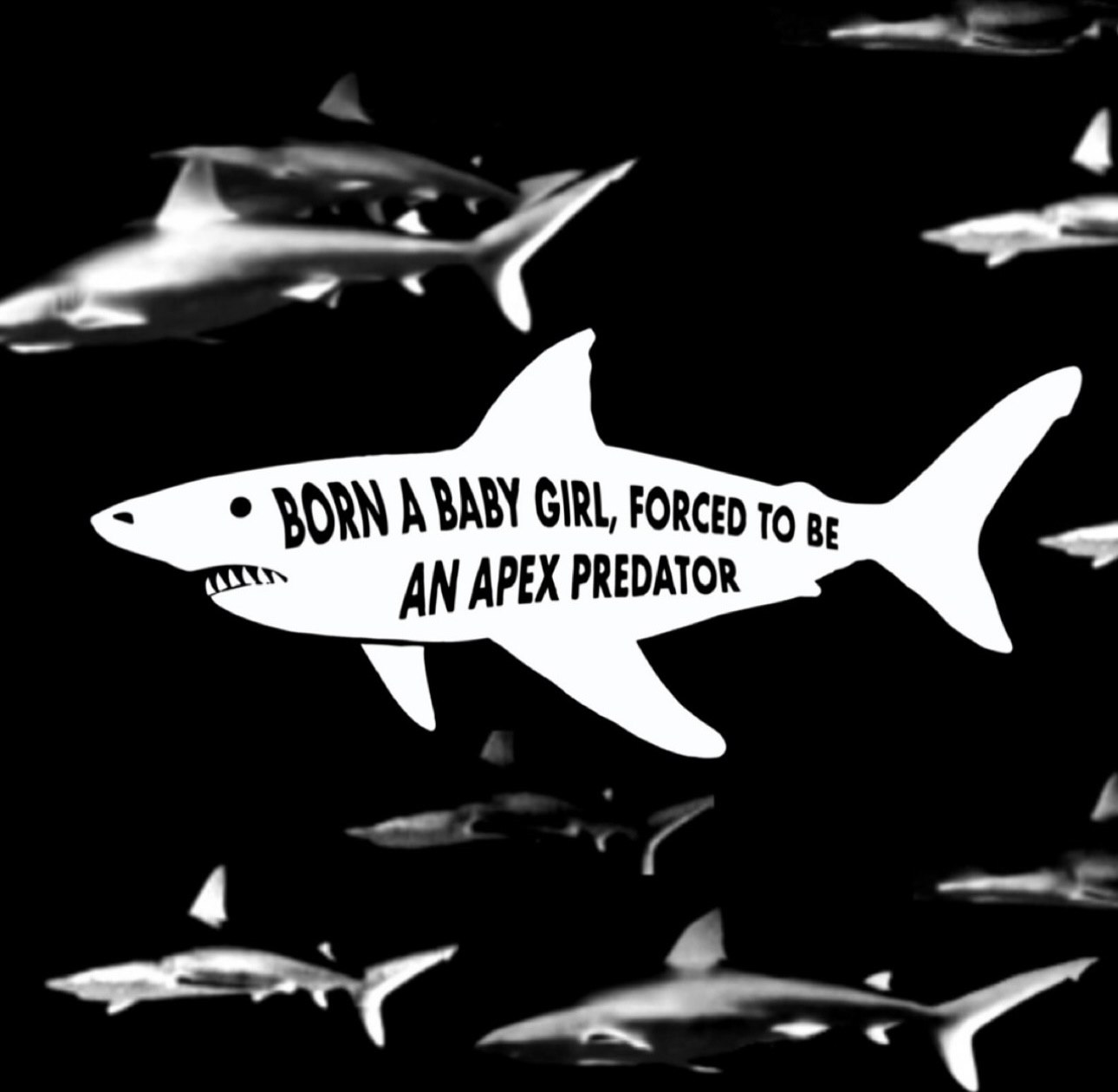 AN APEX PREDATOR