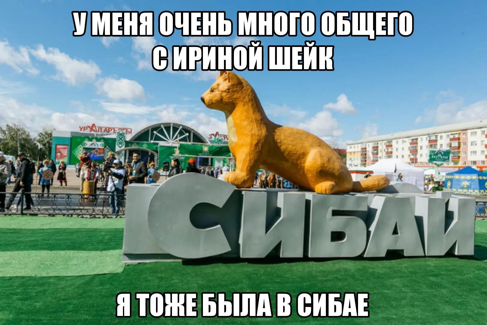 УМЕНЯ ОЧЕНЬ МНОГО ОБЩЕГО СИРИНОЙ ШЕЙК i Я ТОЖЕ БЫЛА В СИБАЕ