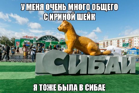 УМЕНЯ ОЧЕНЬ МНОГО ОБЩЕГО СИРИНОЙ ШЕЙК i Я ТОЖЕ БЫЛА В СИБАЕ