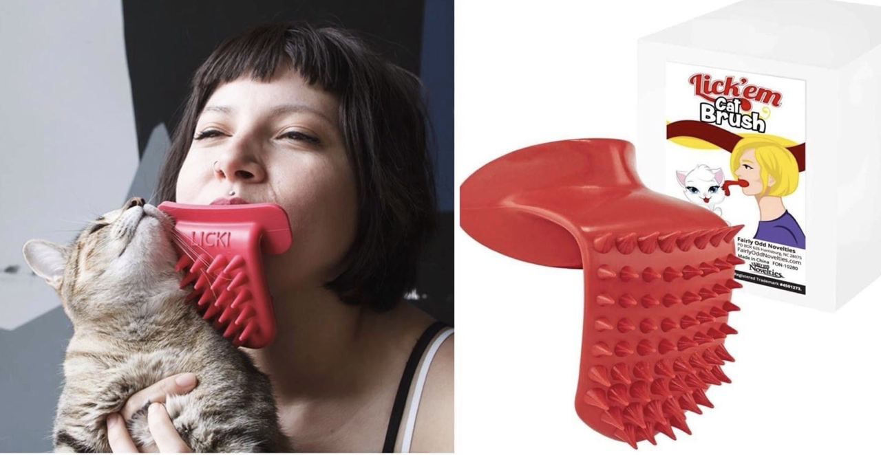 Cat Brush Novel у у 7 А