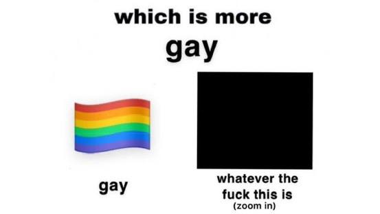 which is more gay whatever the gay fuck this is