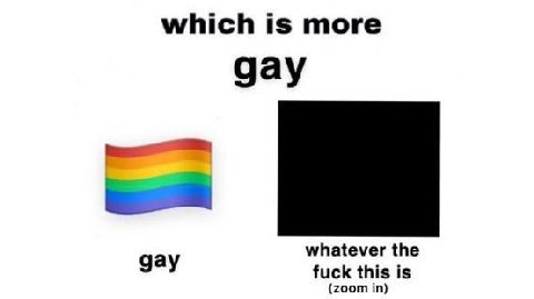 which is more gay whatever the gay fuck this is