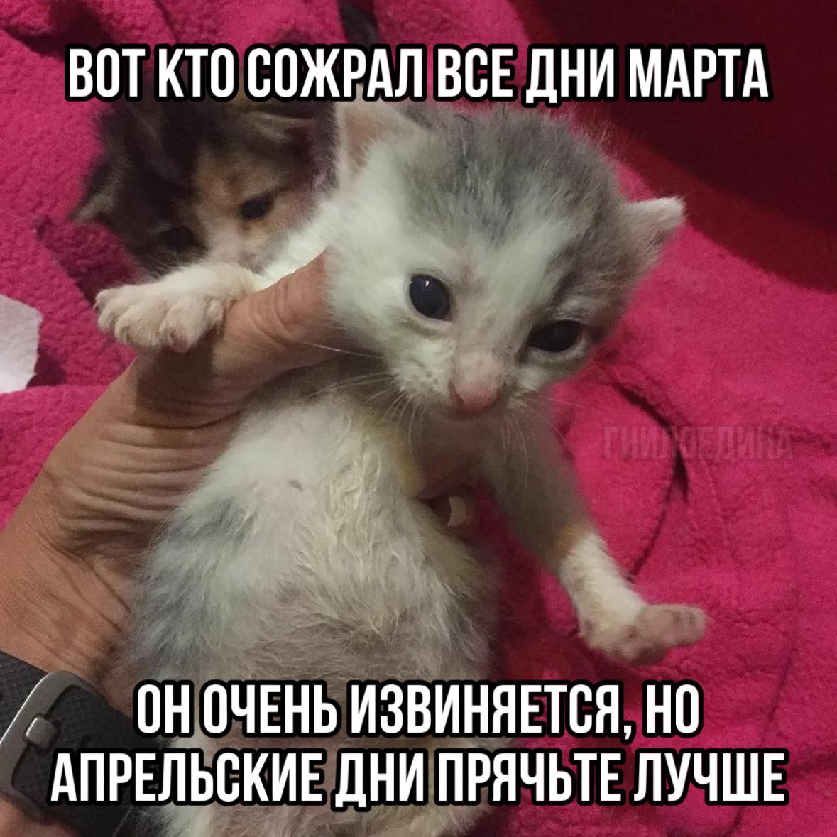 а я ясные дни
оставляю себе