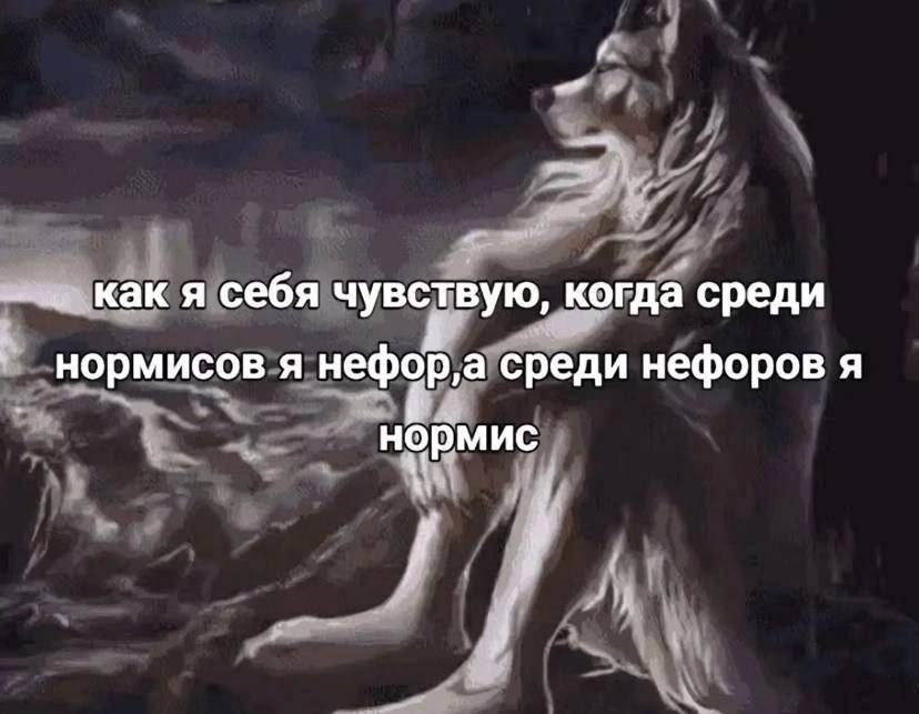 как я себя чувствую, когда среди нормисов я нефор а среди нефоров я нормис