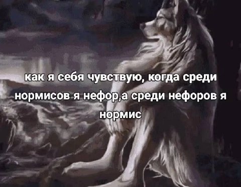как я себя чувствую, когда среди нормисов я нефор а среди нефоров я нормис