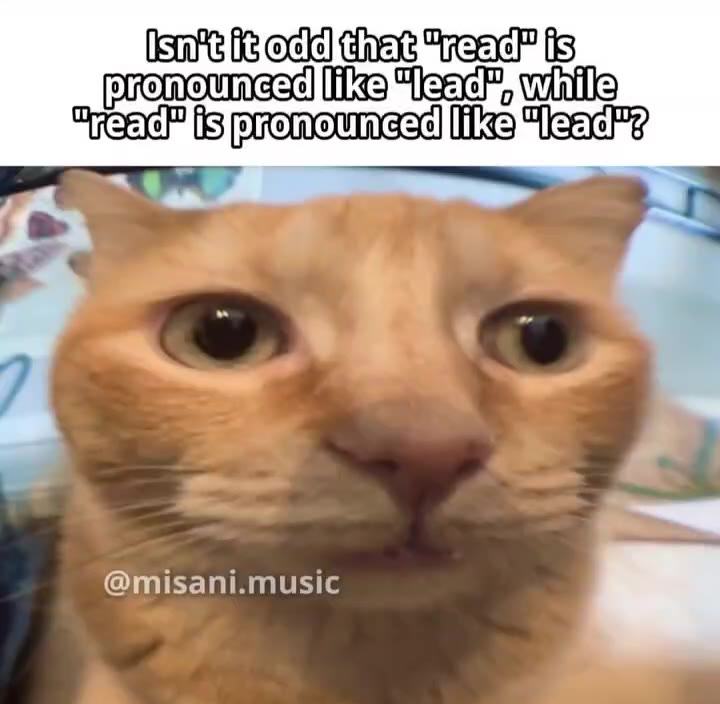 Bieadmis|pronounced||ikekleada7 Sen isanii.rriuyi _ heart 63 eck] that reacF fs promemiese [ia Teach, wile "jeacP fs pronounced [za “Teac? @misani.music к proneunasd [iz Teac, while (sar 63 ое chat Чя