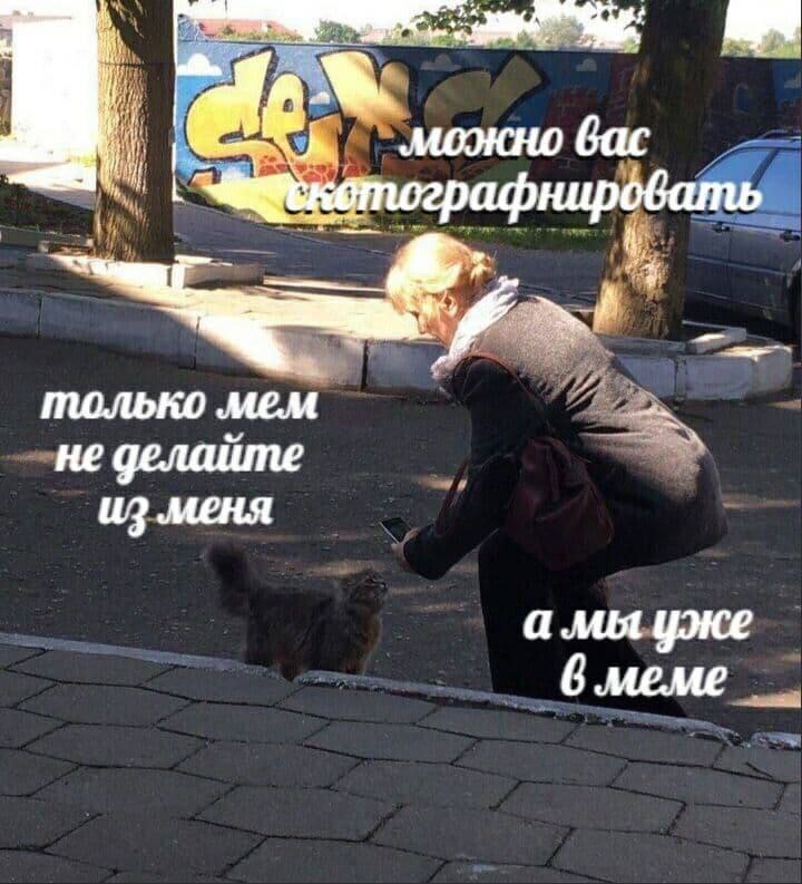 можно вас только не делайте меня а мы уже 6 meme