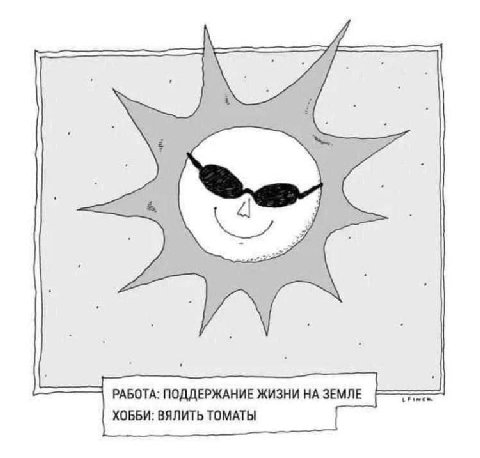 РАБОТА: ПОДДЕРЖАНИЕ ЖИЗНИ НА ЗЕМЛЕ ХОББИ: ВЯЛИТЬ ТОМАТЫ