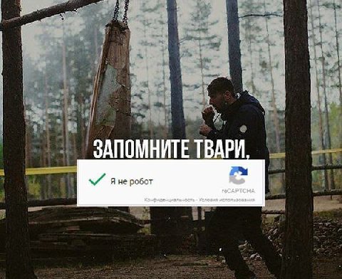 я ЗАПОМНИТЕ ТВАРИ и Я не робот