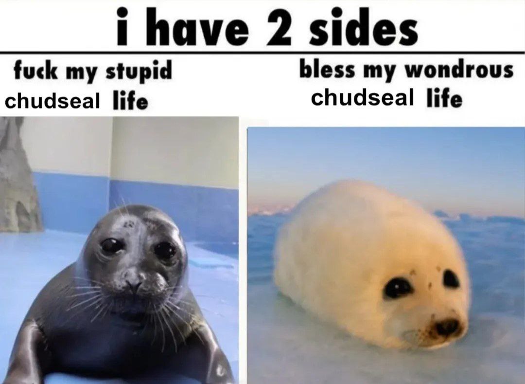 i have 2 sides fuck my stupid bless my wondrous chudseal life chudseal life