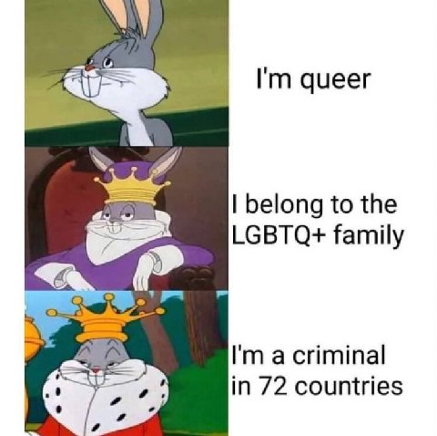 queer belong to the LGBTQ+ family a criminal in 72 countries