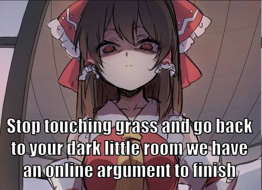 Stop touching grass back to your dark little room we: have Online argument