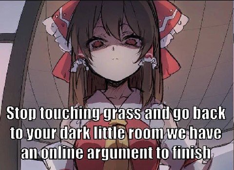 Stop touching grass back to your dark little room we: have Online argument