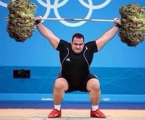 и See А