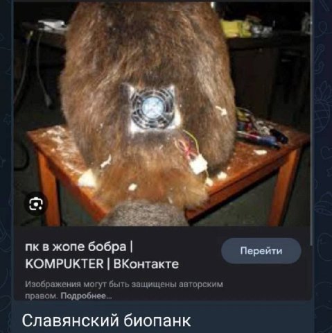 #9 4 4 и 4 A 4, в жопе бобра Перейти KOMPUKTER ВКонтакте Изображения могут быть защищены авторским правом. Подробнее... Славянский биопанк