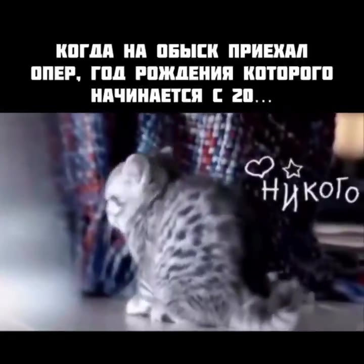 КОГДА НА ОБЫСК ПРИЕХАЛ ОПЕР, ГОД РОЖДЕНИЯ КОТОРОГО