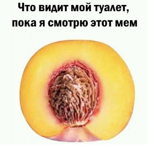 Что видит мой туалет, пока я смотрю этот мем