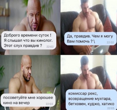 4 4 Доброго времени суток Да, правдив. Чем я могу Я слышал что вы кинолог. Вам помочь Этот слух правдив комиссар рекс, посоветуите мне хорошее возвращение мухтара, кино на вечер 22:03 бетховен, куджо,