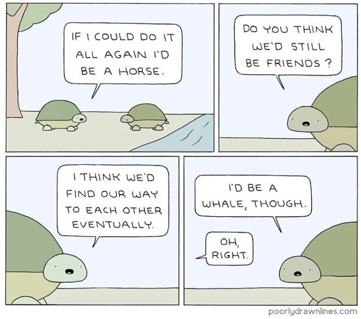 YOU THINK IF COULD WED STILL ALL АСА\М BE FRIENDS BE A HORSE. (THINK WE'D BE А FIND OUR WAY TO EACH OTHER WHALE, THOUGH. poorlydrawnlines.com
