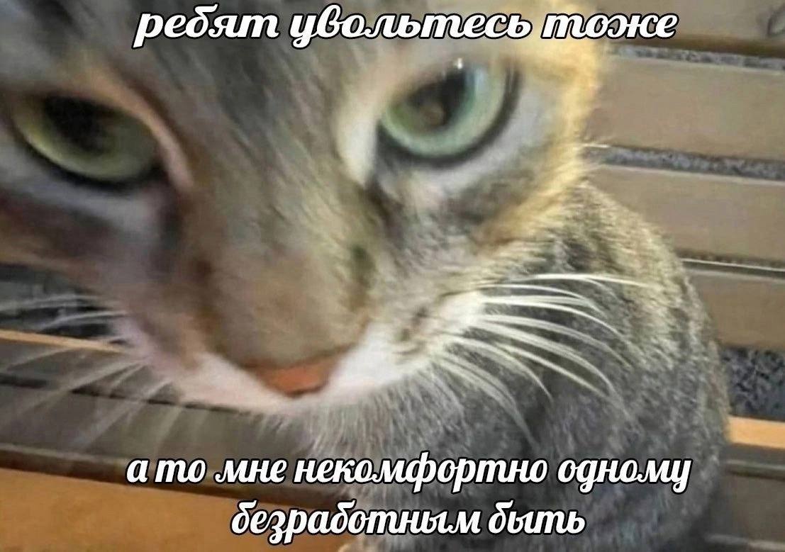 ребят уволь я ато мне некомфортно одному