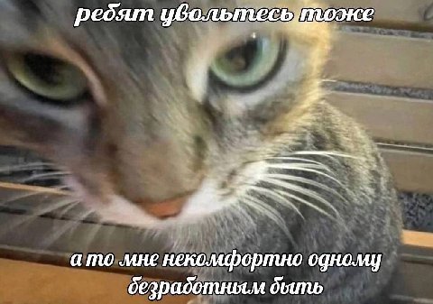 ребят уволь я ато мне некомфортно одному