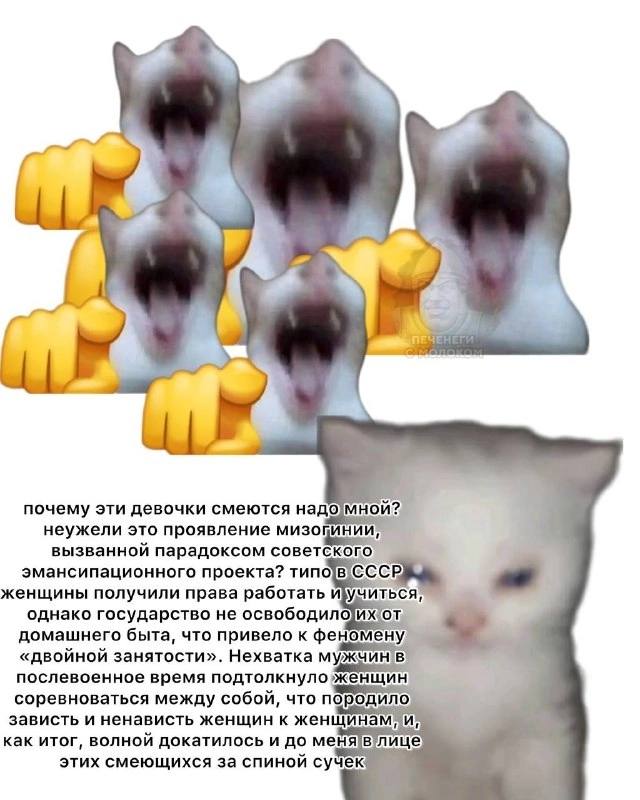 почему эти девочки смеются надо мной? неужели это проявление вызванной парадоксом советског эмансипационного проекта? женщины получили права работать иучи однако государство не домашнего быта, что при