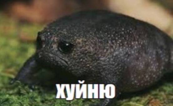 ХУЙНЮ