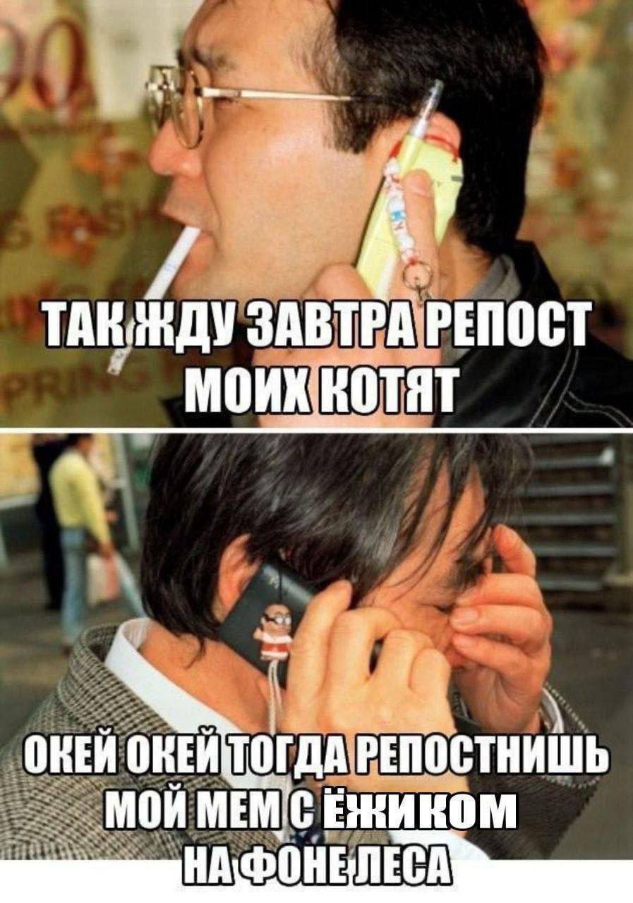 ЗАВТРА РЕПОСТ МОИХ ОКЕЙ РЕПОСТНИШЬ МОЙ НАФОНЕЛЕСА