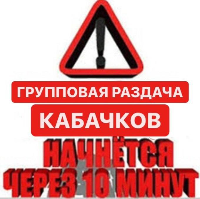 КАБАЧКОВ