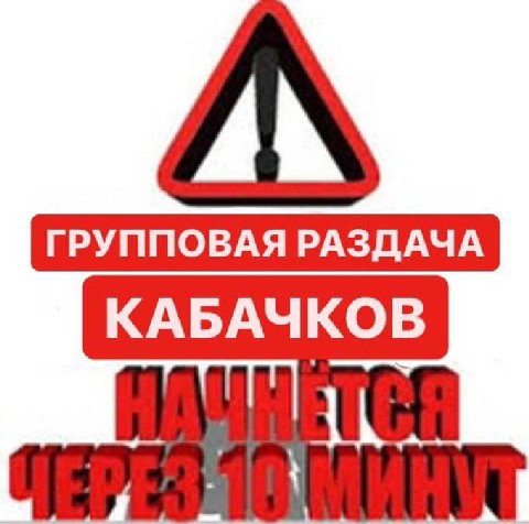 КАБАЧКОВ