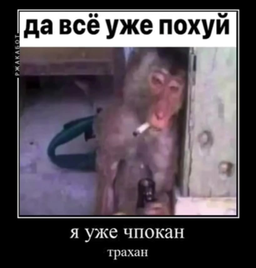 | давсё уже похуй я уже чпокан