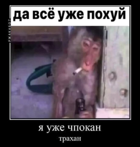| давсё уже похуй я уже чпокан