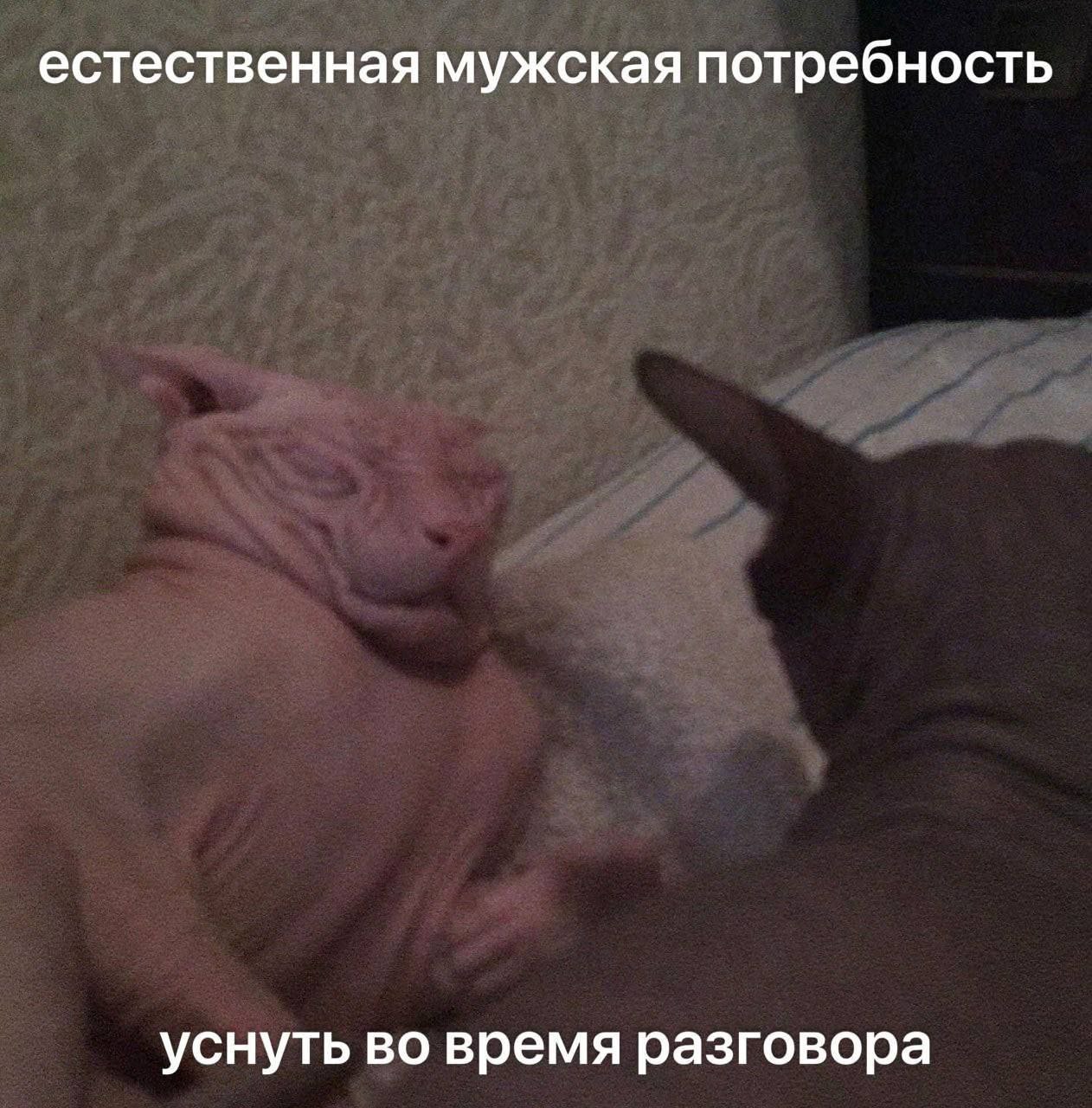 естественная мужская потребность уснуть во время разговора