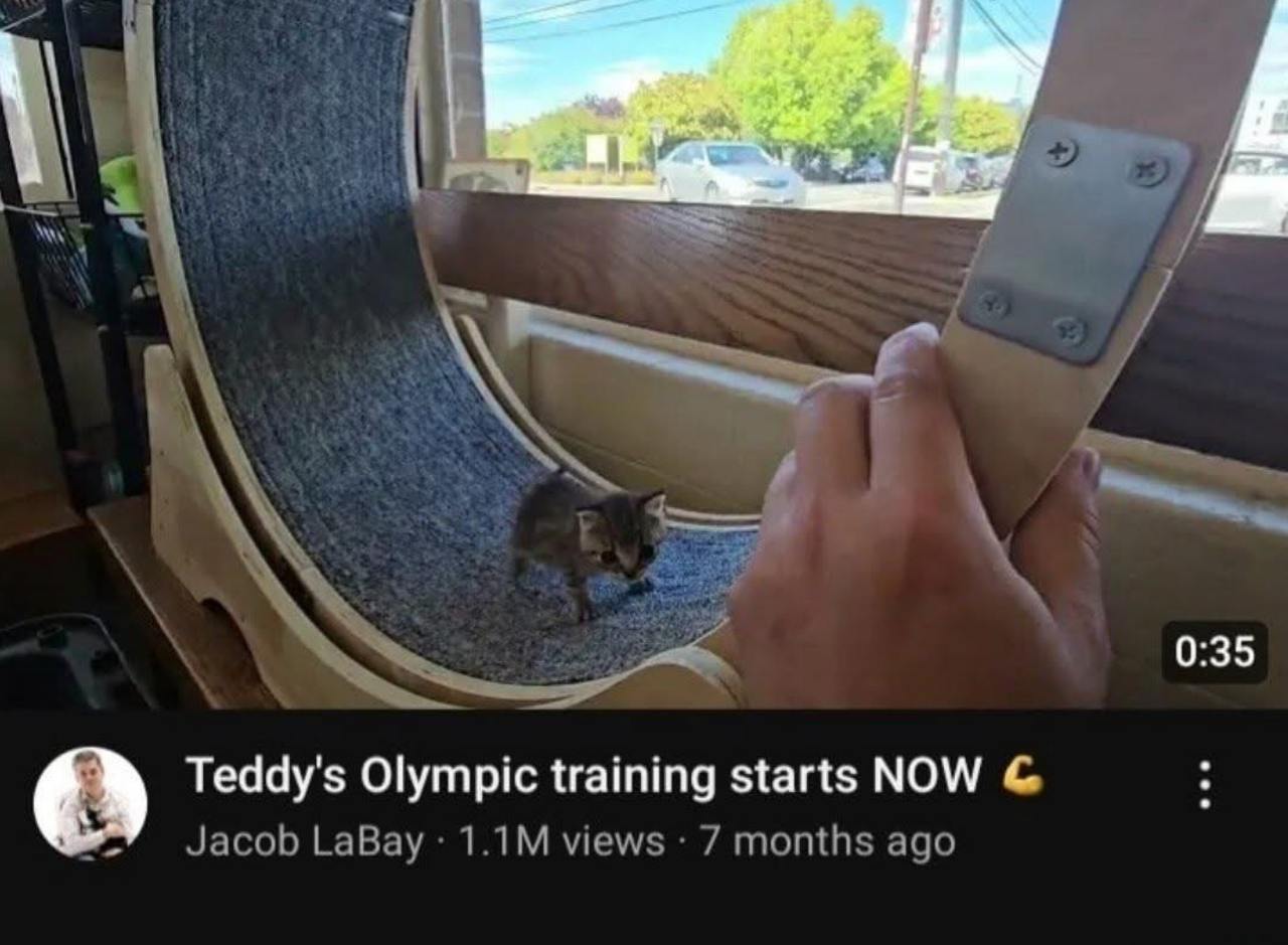 0:35 Teddy's Olympic training starts NOW